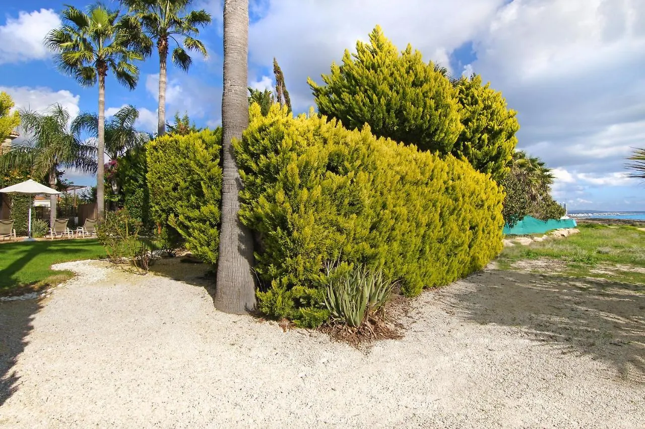 Villa Polina Αγία Νάπα Κύπρος
